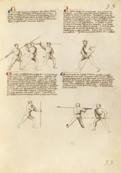 Fiore dei Liberi
